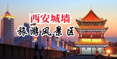 逼逼爱爱骚逼网站中国陕西-西安城墙旅游风景区